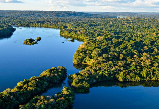 Dinamarca anuncia R$ 110 mi ao fundo Amazônia; veja lista de países e valores