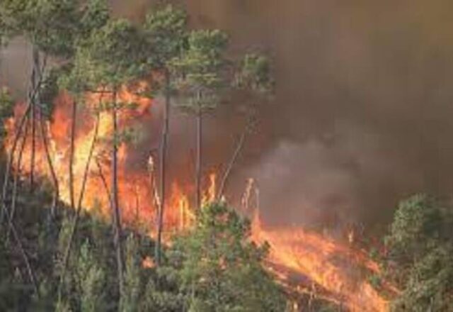 Incêndios florestais no Canadá têm mil focos ativos e ameaçam cidades