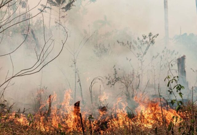 Em duas semanas, Amazonas tem mais de 4.000 focos de queimadas detectados